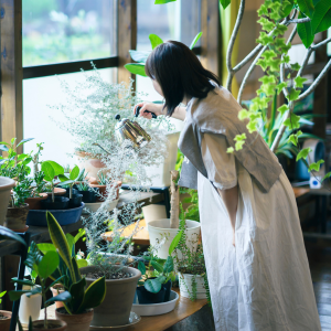 Jeune femme arrosant ses plantes en bord de fenêtre