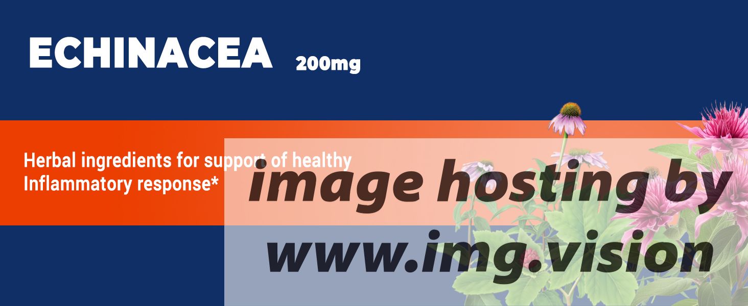 Image hosting by Img.vision