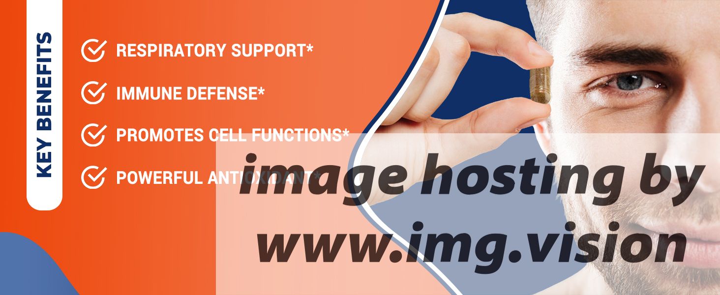 Image hosting by Img.vision