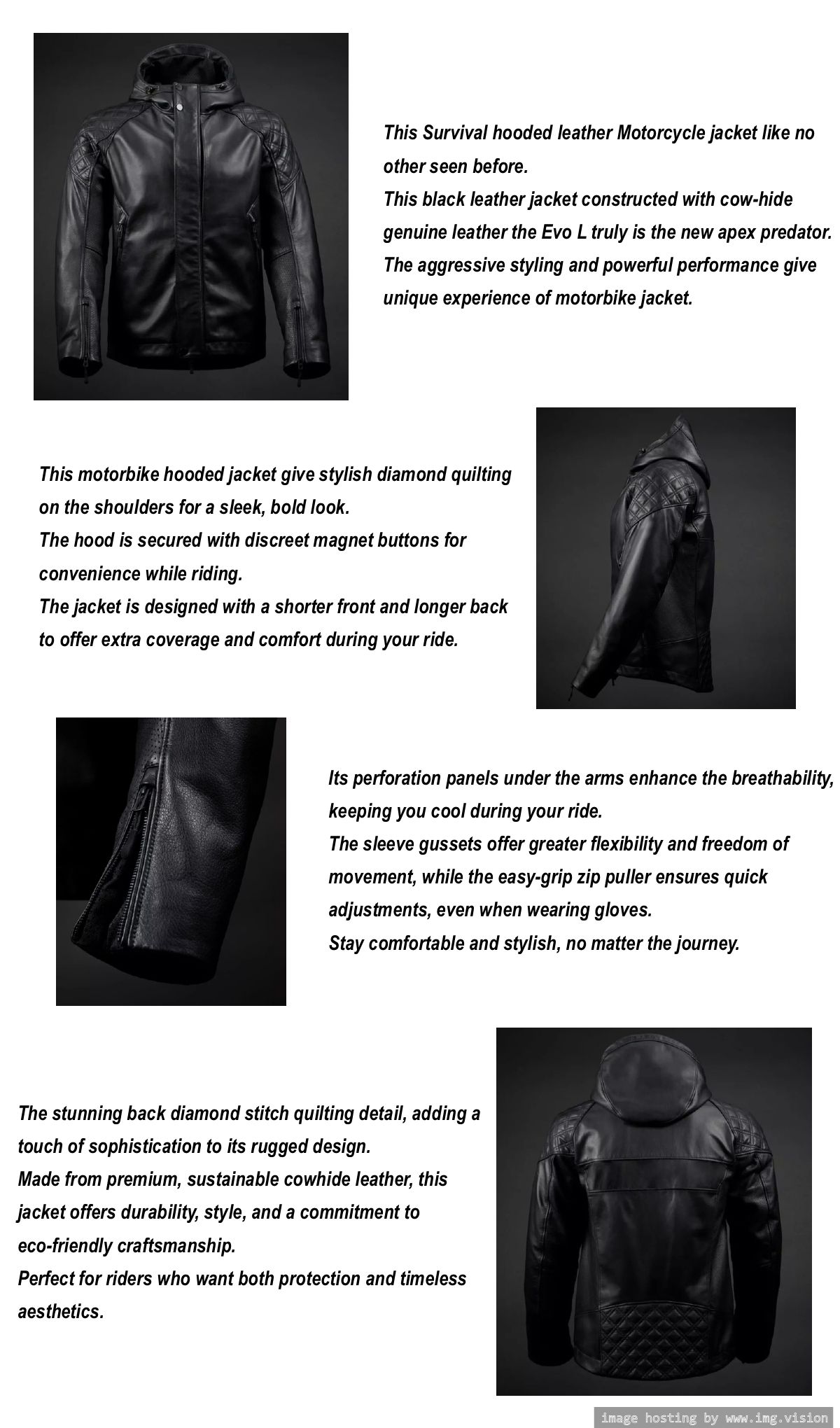 Image hosting by Img.vision