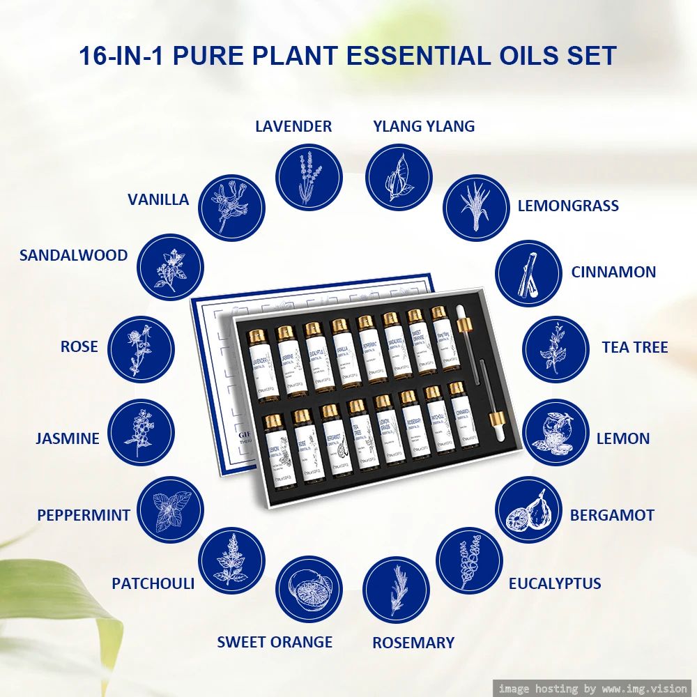 Image hosting by Img.vision