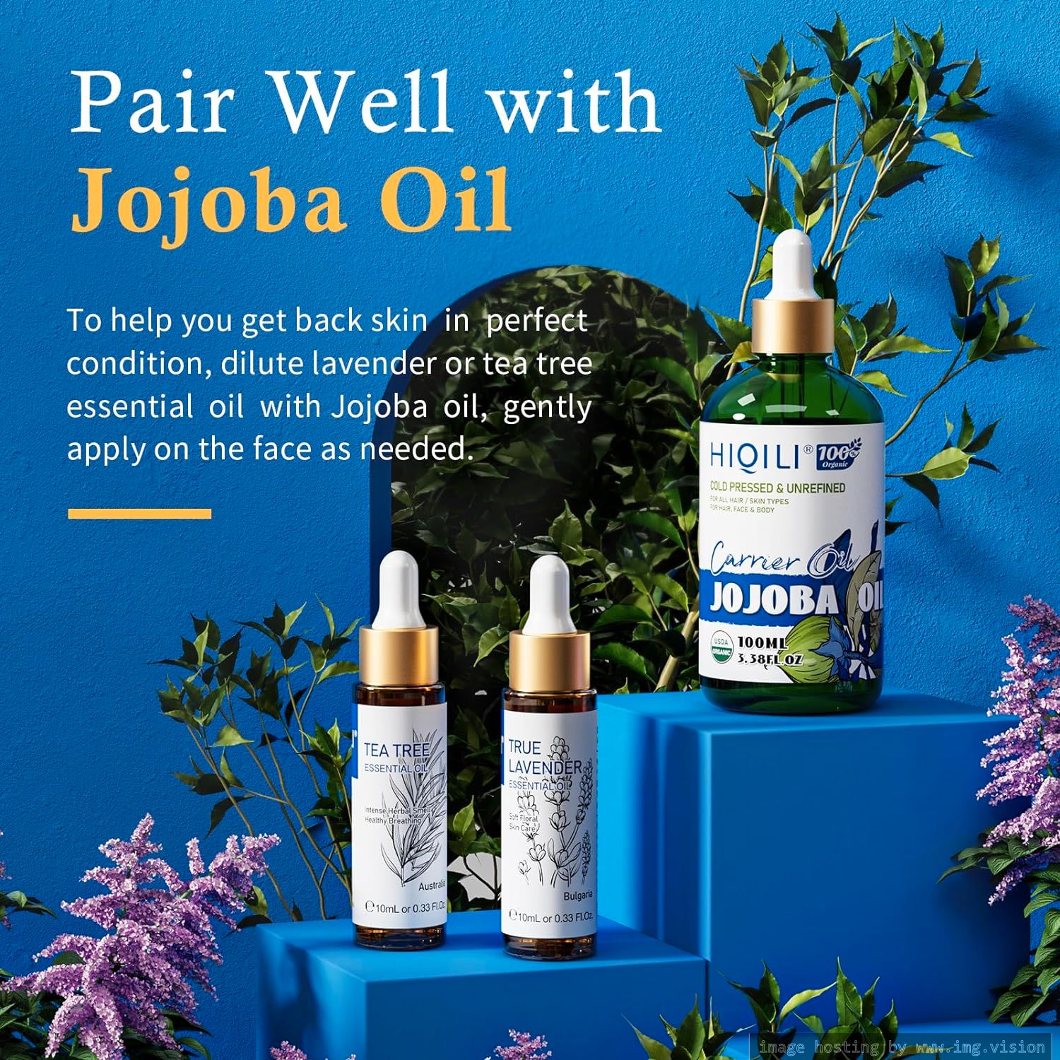 Image hosting by Img.vision